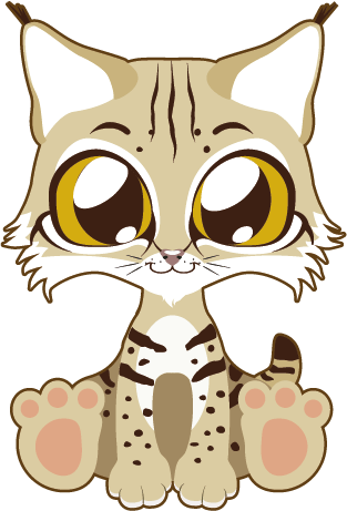 Tachi